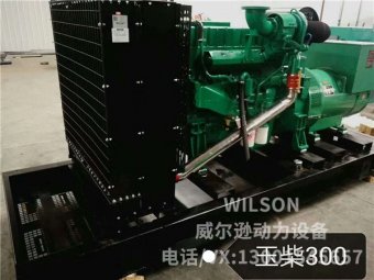 玉柴系列300kw柴油發(fā)電機組