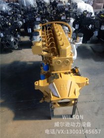 濰坊6105G鏟車用柴油機